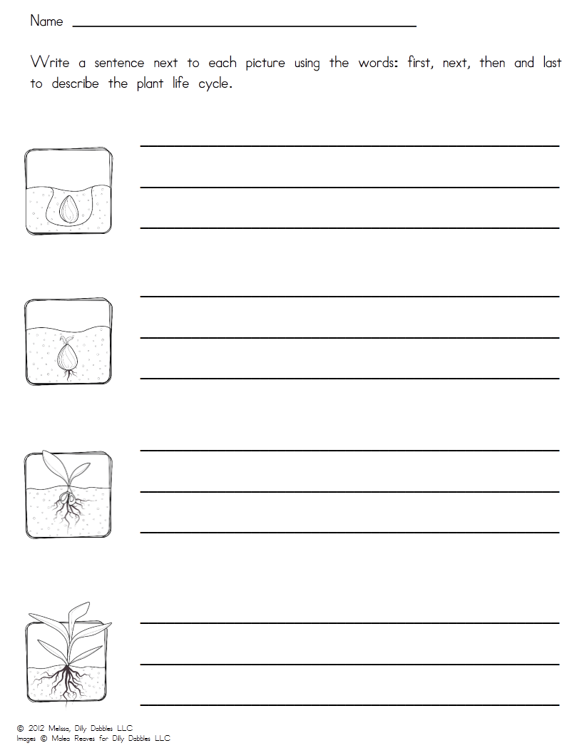 Growing Seeds and Plants! Create Quest